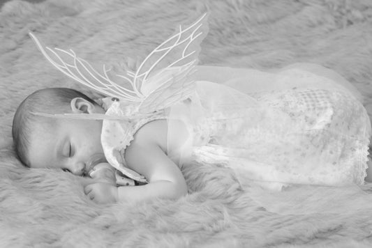 Eternal Little Wings™️